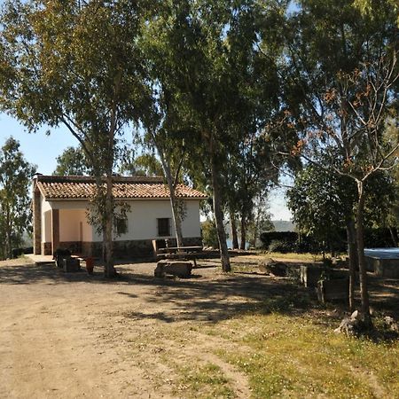 Casa Rural Casa De Las Aves โอเรญานา ลา วิเอฆา ภายนอก รูปภาพ